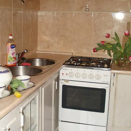 בית אירוח U Marii זקופאנה